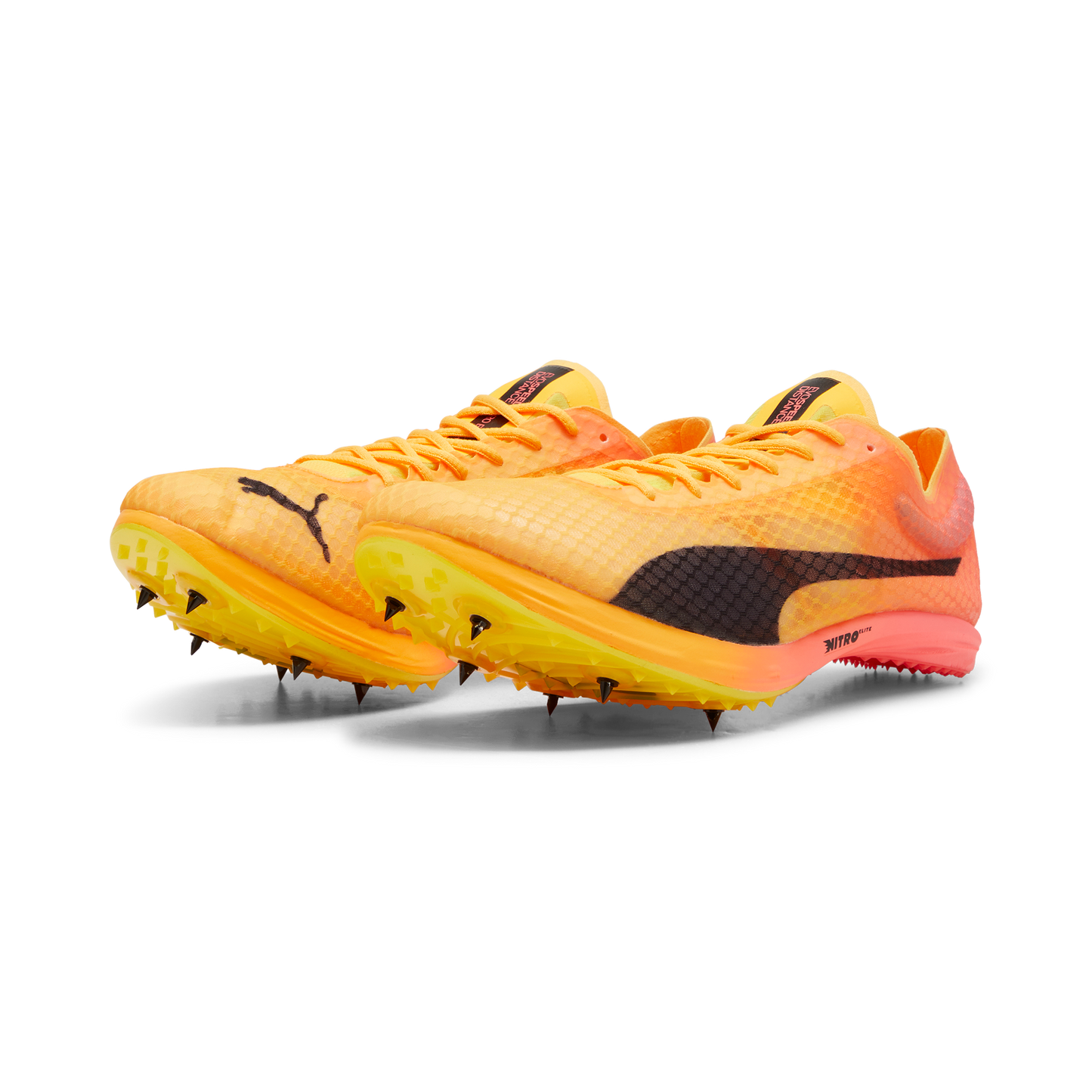 Puma evoSPEED Distance Elite+ 4 Spike