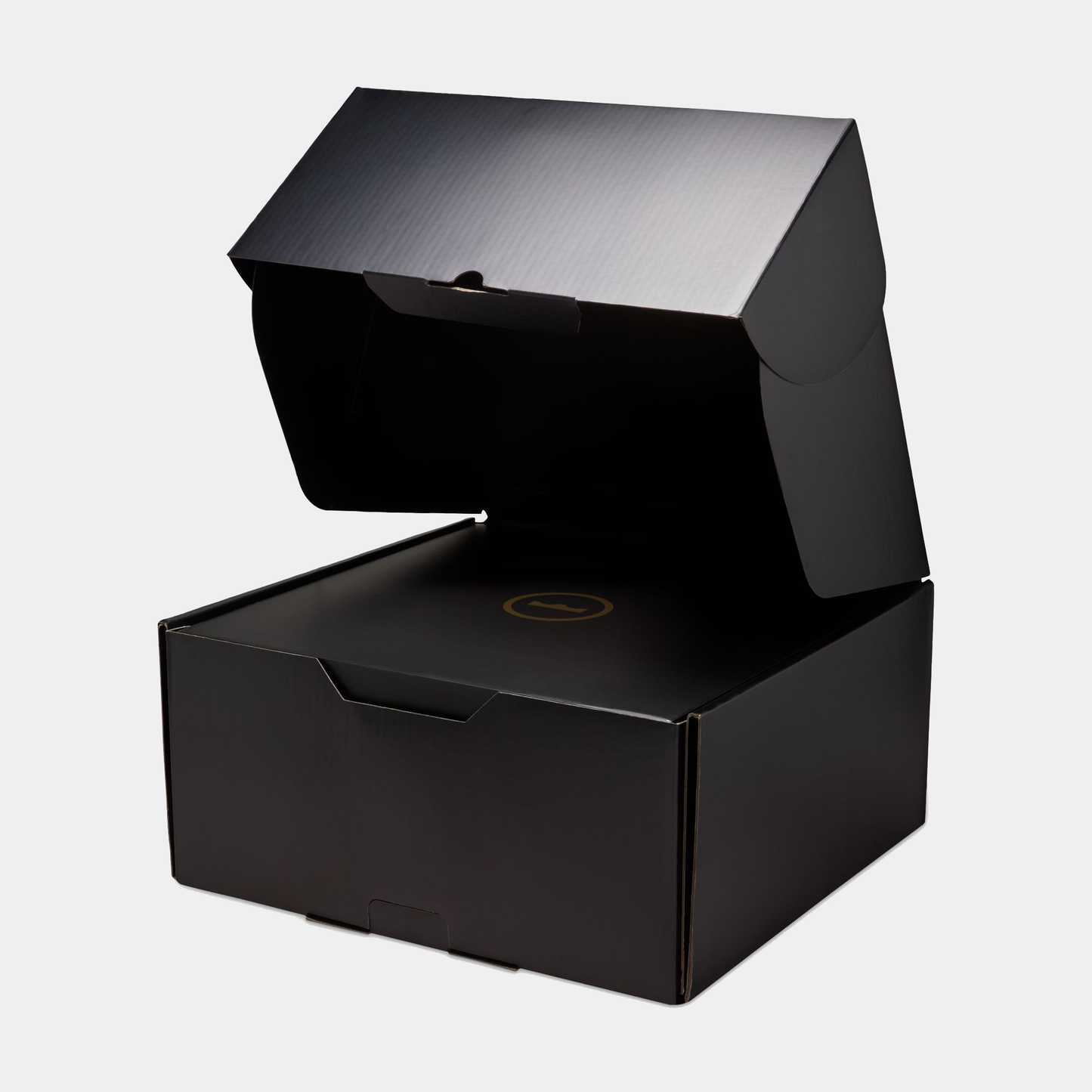 LeBron XXIII "Grand Opening"