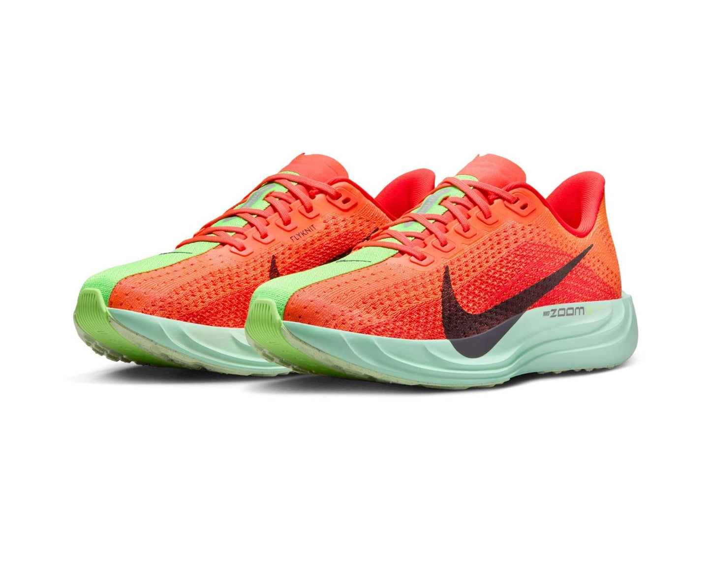 Nike Pegasus Plus Womens Running Shoes