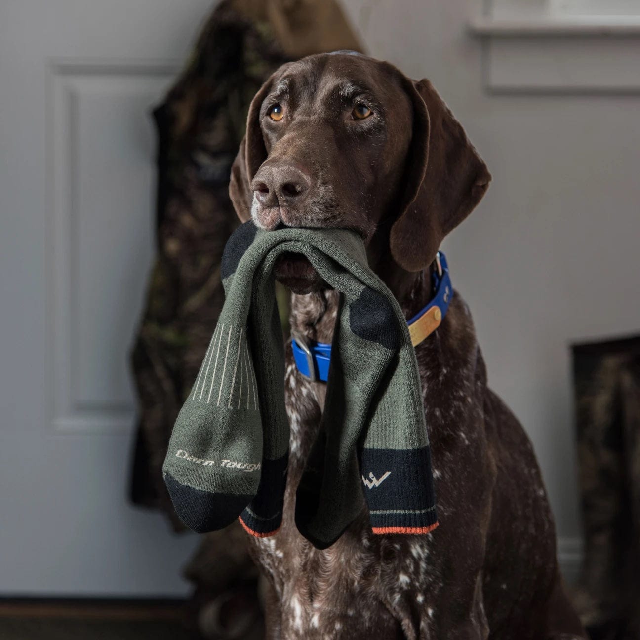 Hunter Over-The-Calf Extra Cushion