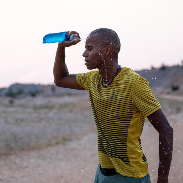 Salomon Soft Flask | 250ml