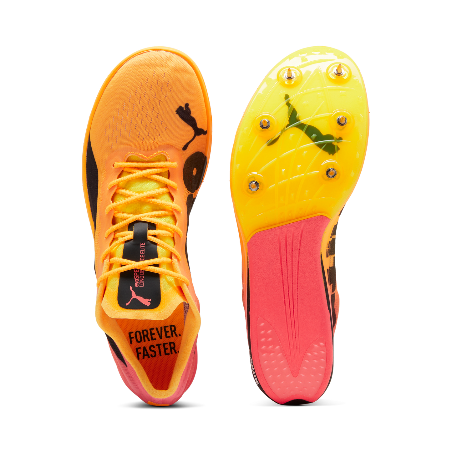 Puma evoSPEED Long Distance NITRO Elite 2 Spike