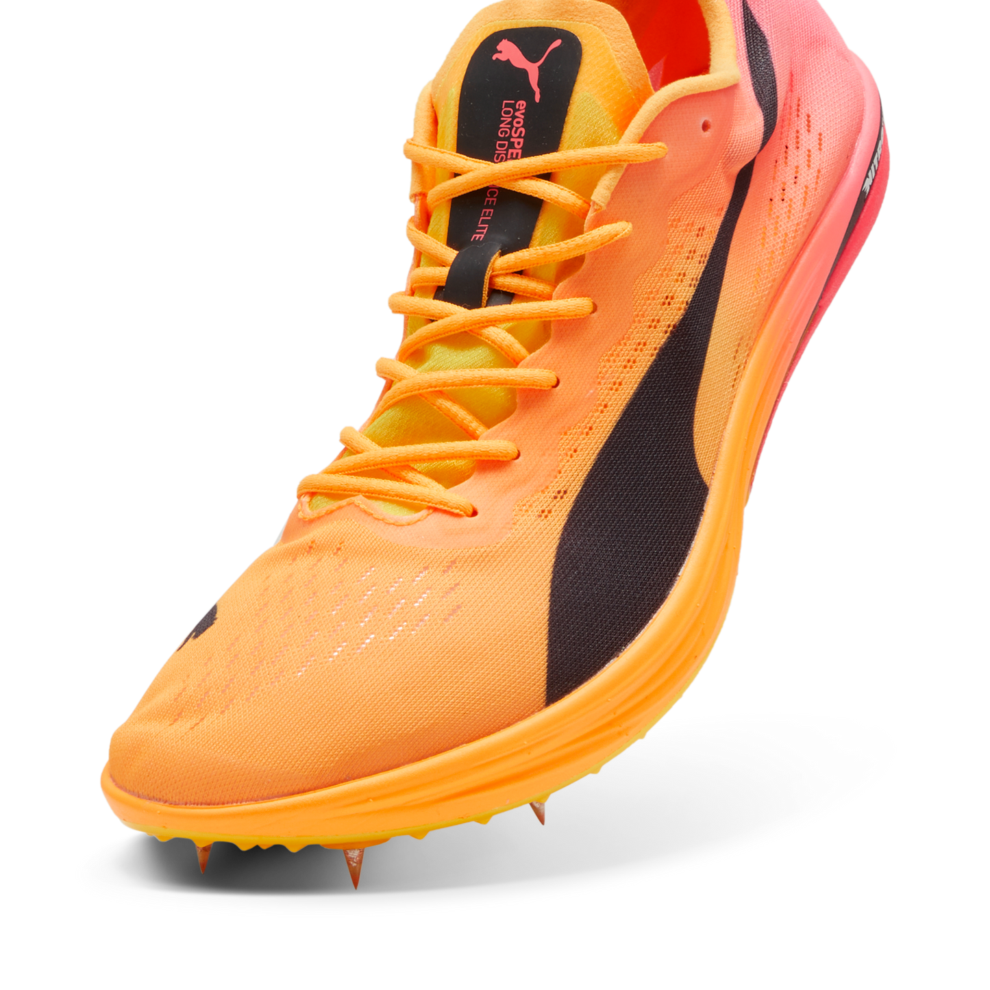 Puma evoSPEED Long Distance NITRO Elite 2 Spike