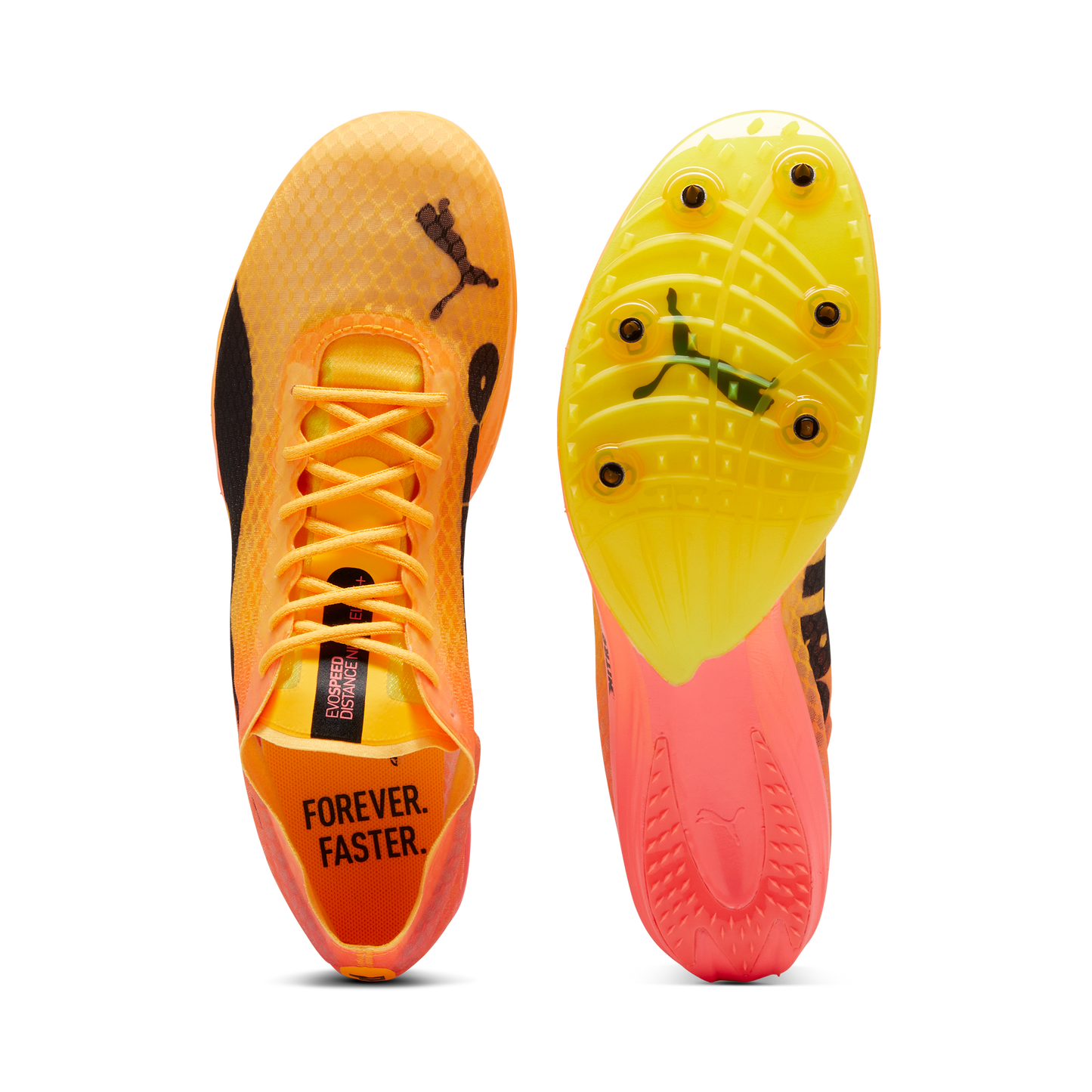 Puma evoSPEED Distance Elite+ 4 Spike