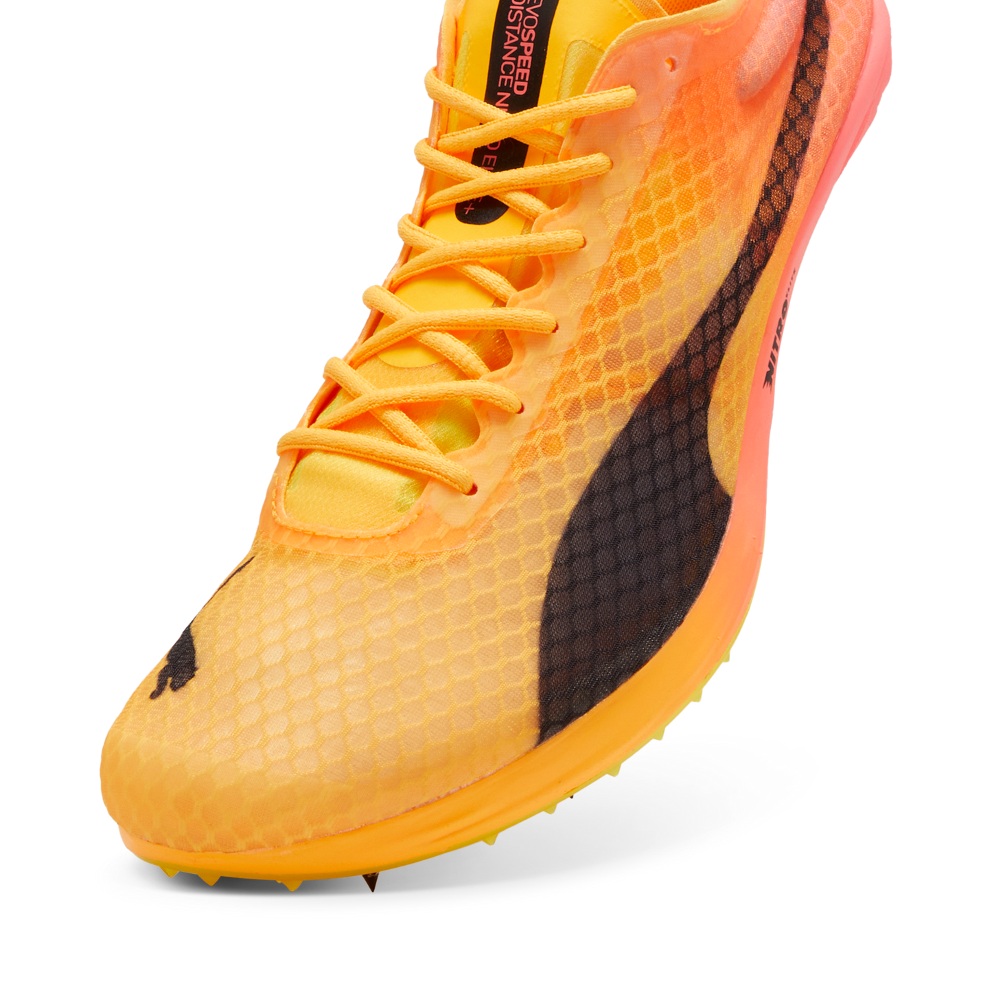 Puma evoSPEED Distance Elite+ 4 Spike