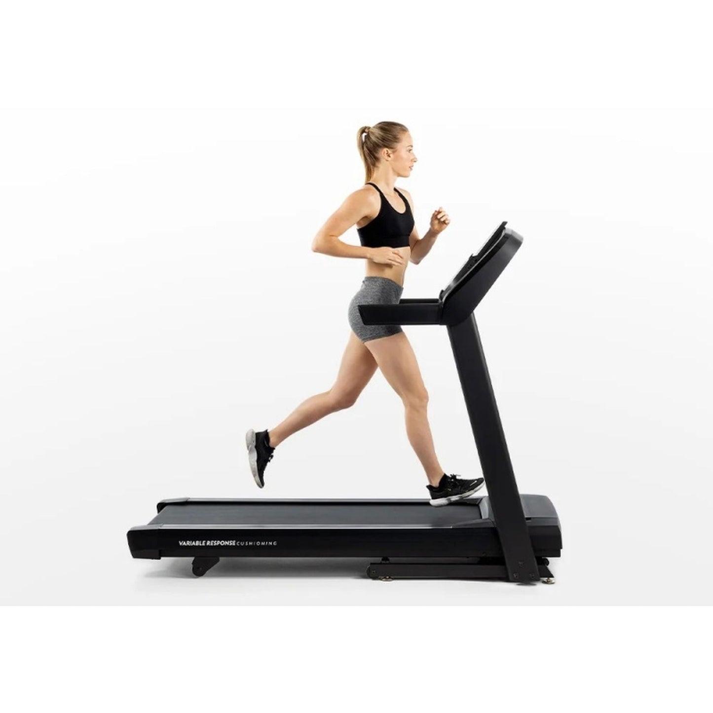 Horizon T101 Treadmill