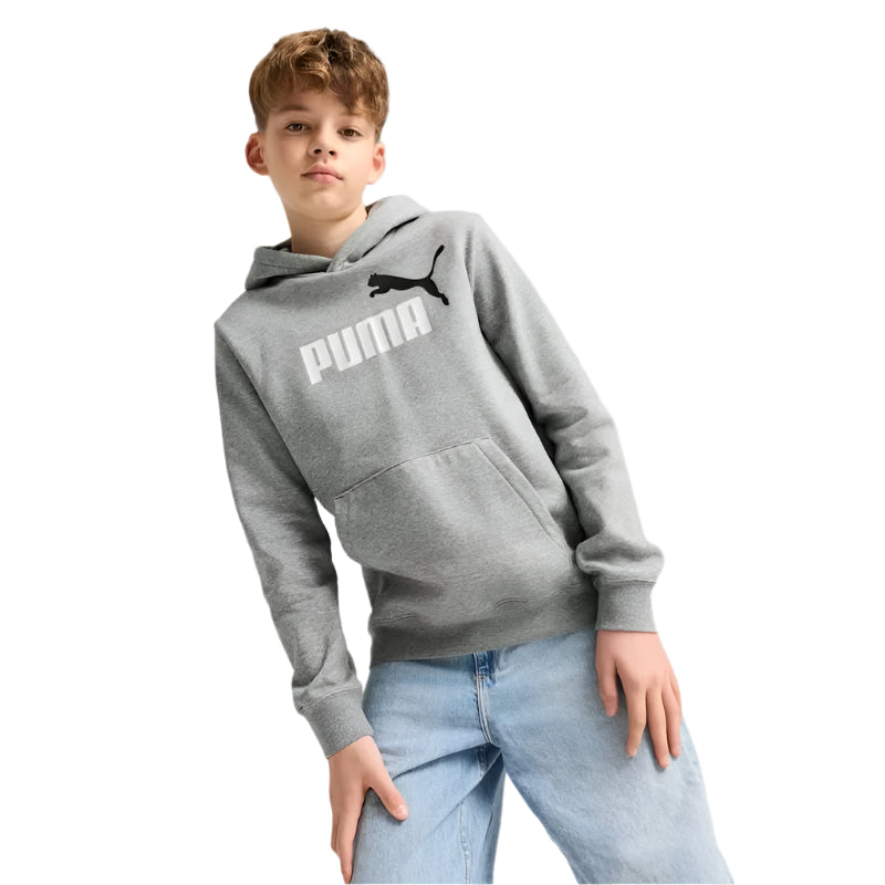 PUMA Boys Essentials 2 Colour No.1 Hoodie
