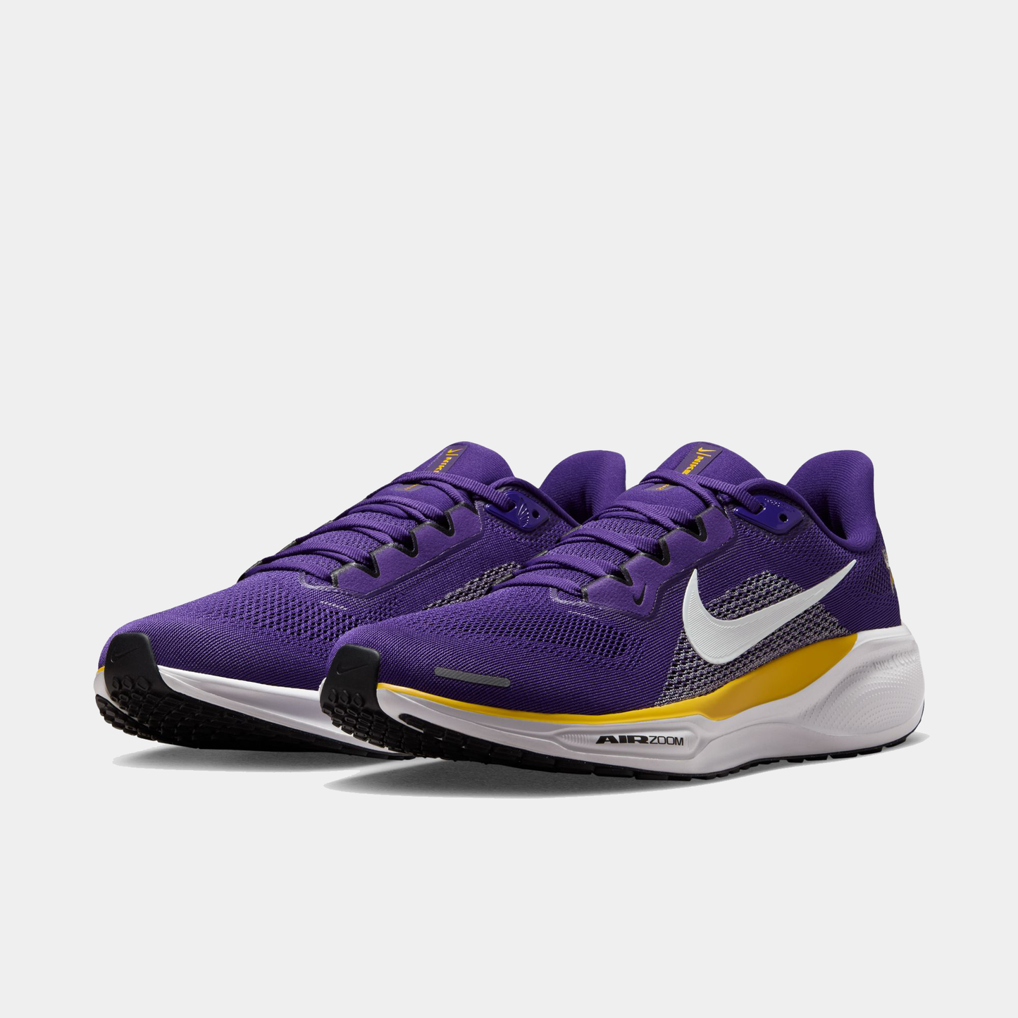 Minnesota Vikings Pegasus 41