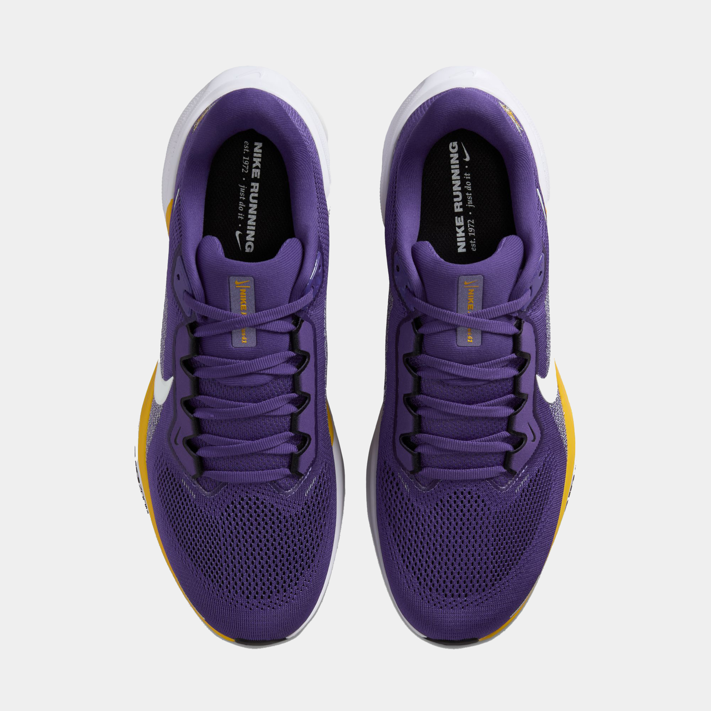 Minnesota Vikings Pegasus 41