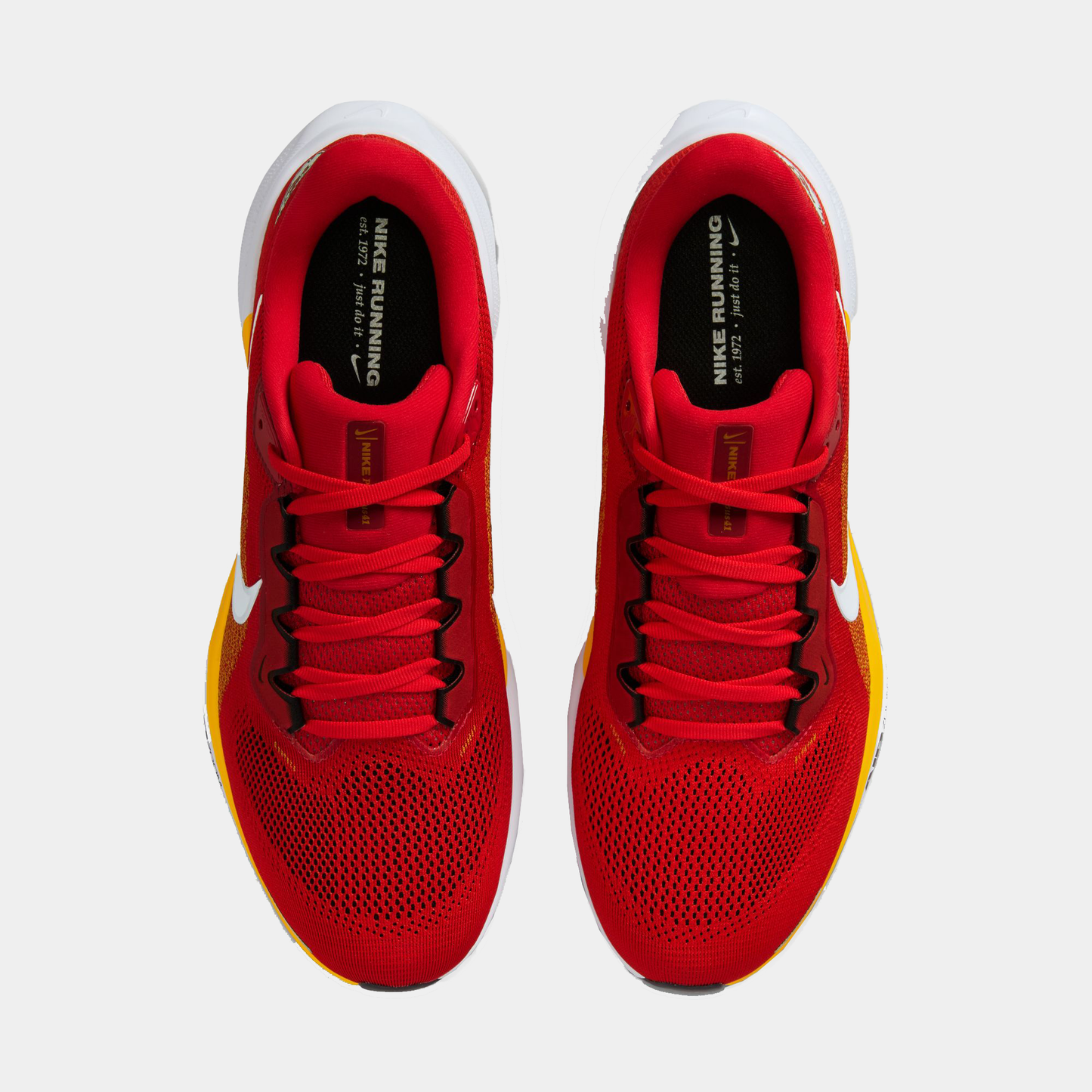 Kansas City Chiefs Pegasus 41