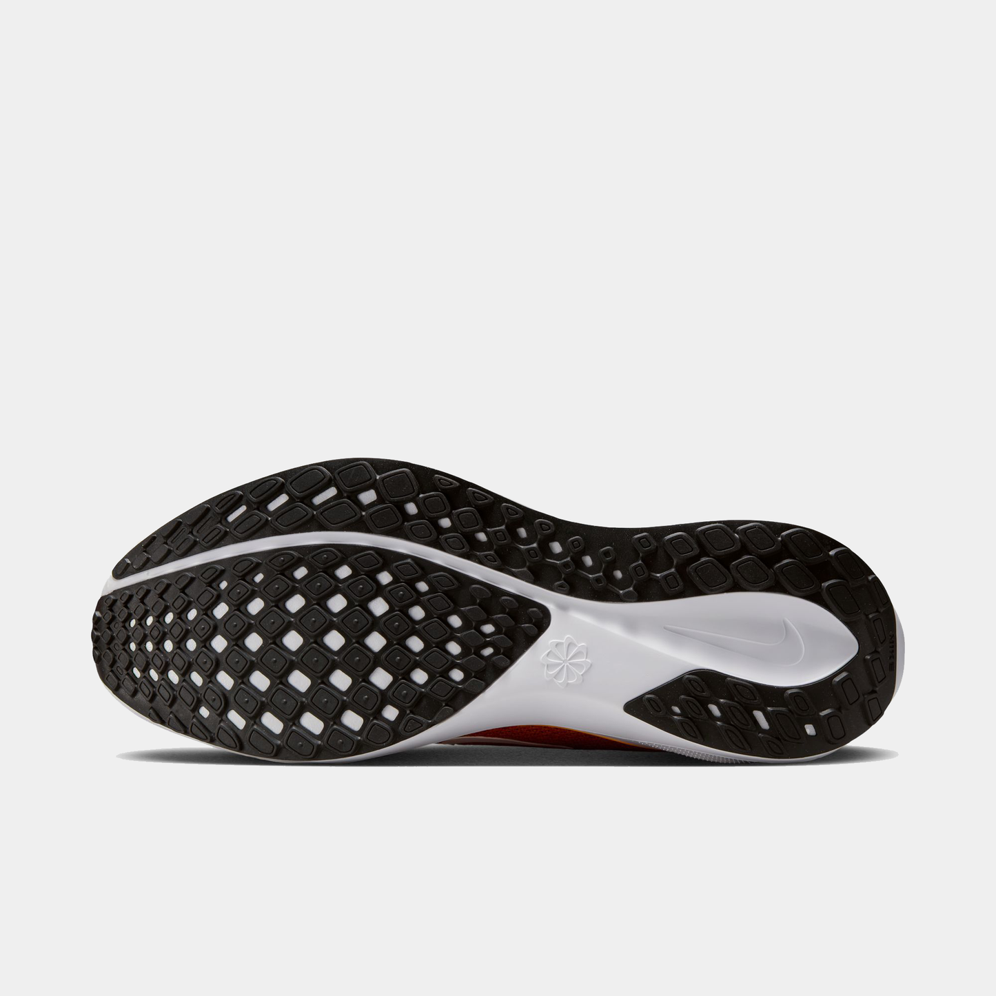 Kansas City Chiefs Pegasus 41