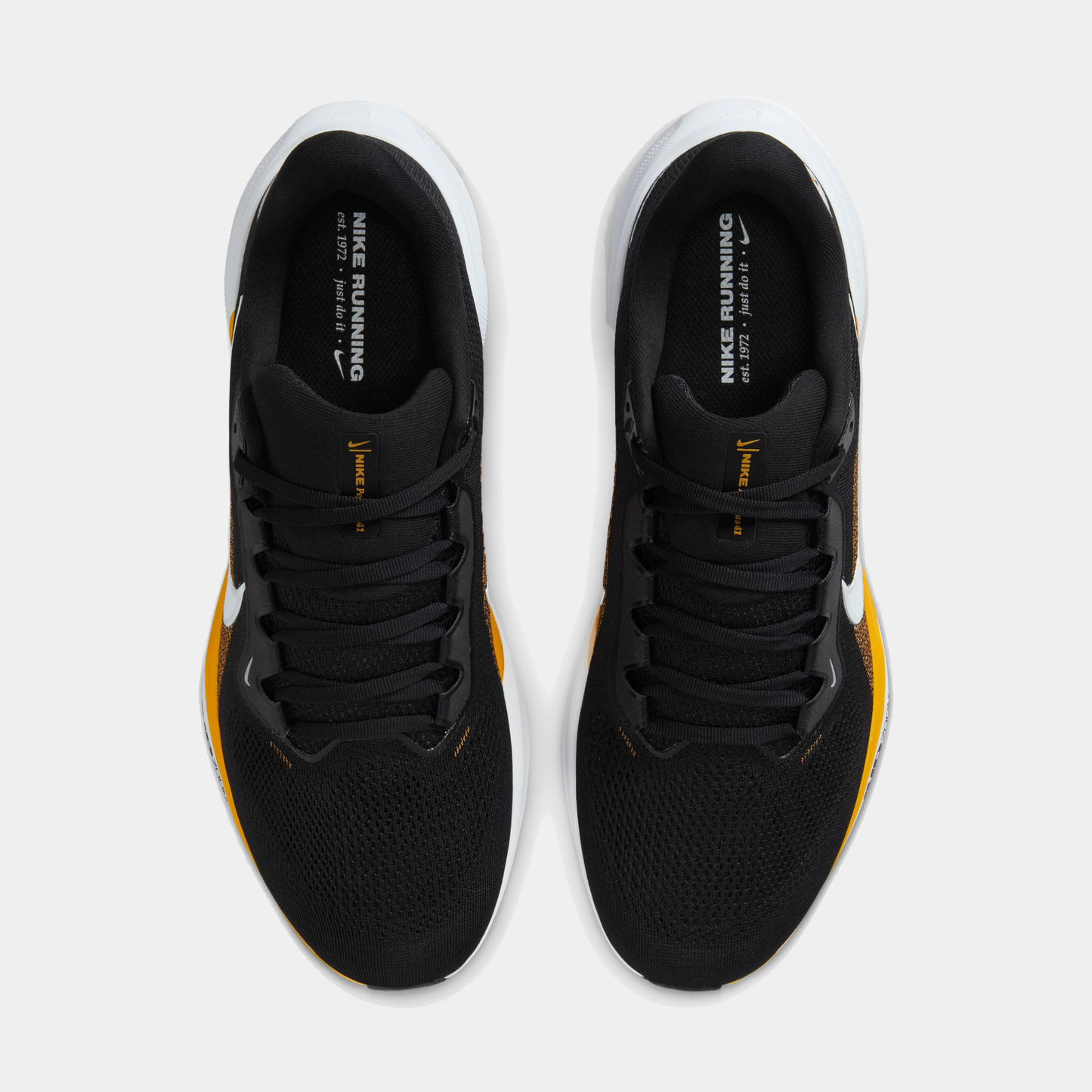 Pittsburgh Steelers Pegasus 41