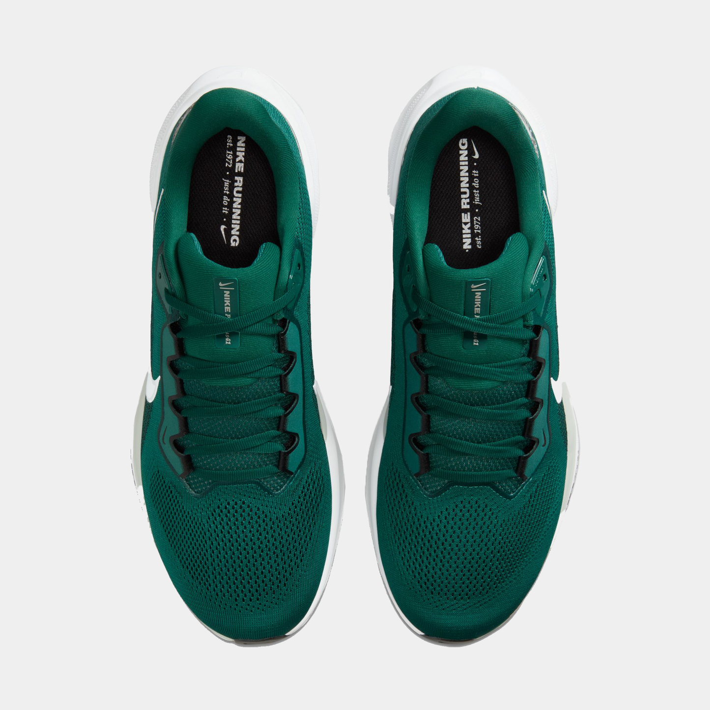 Philadelphia Eagles Pegasus 41