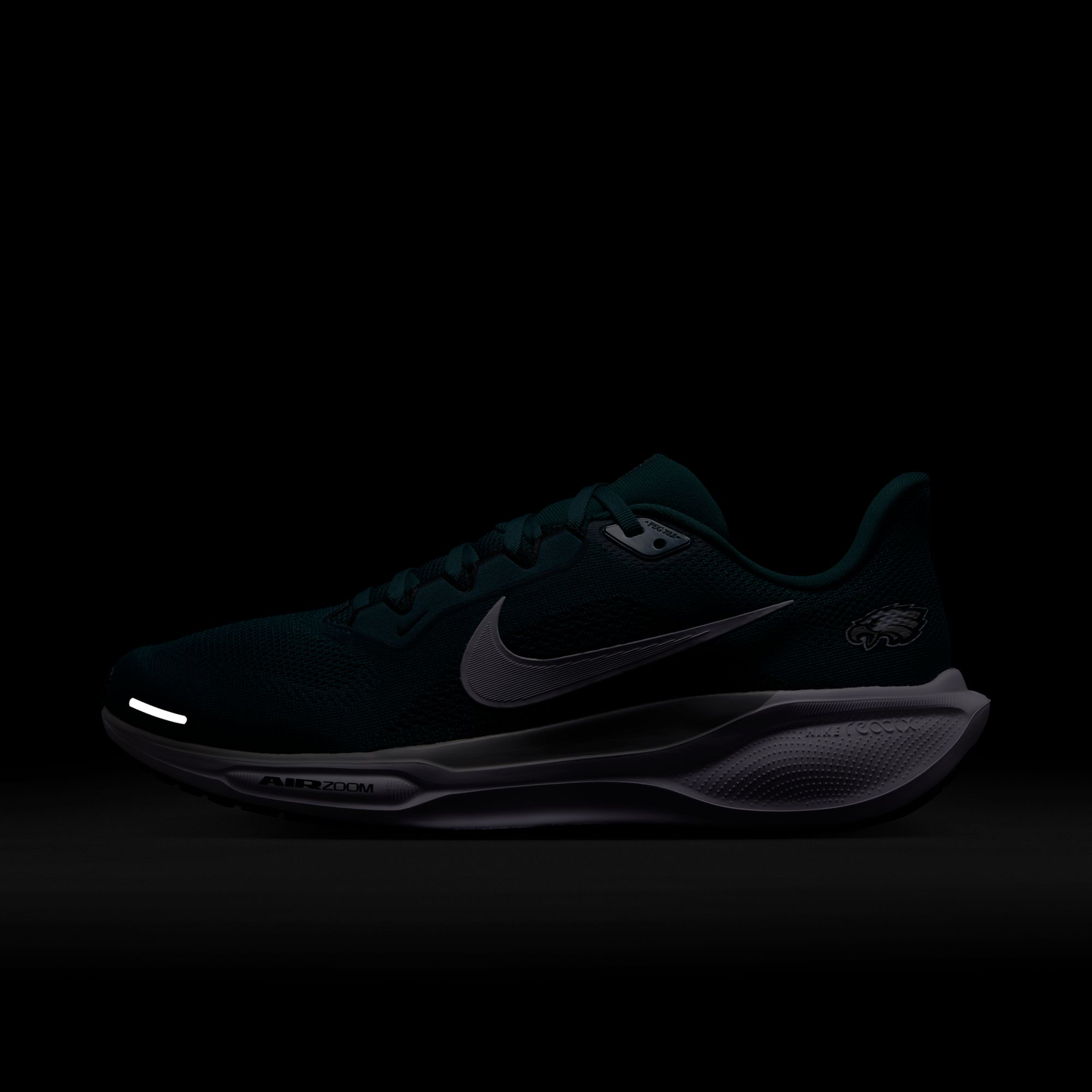 Philadelphia Eagles Pegasus 41