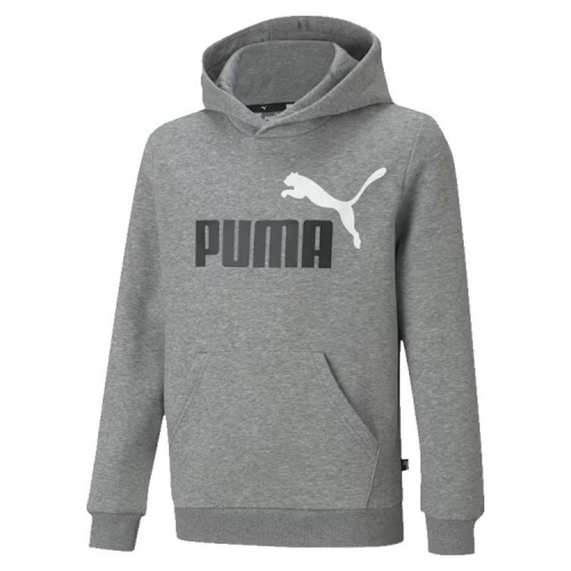 PUMA Kids Essentials+ Two-Tone Hoodie