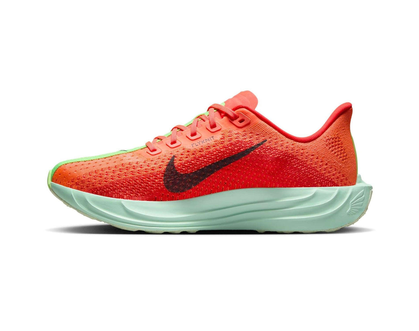 Nike Pegasus Plus Womens Running Shoes
