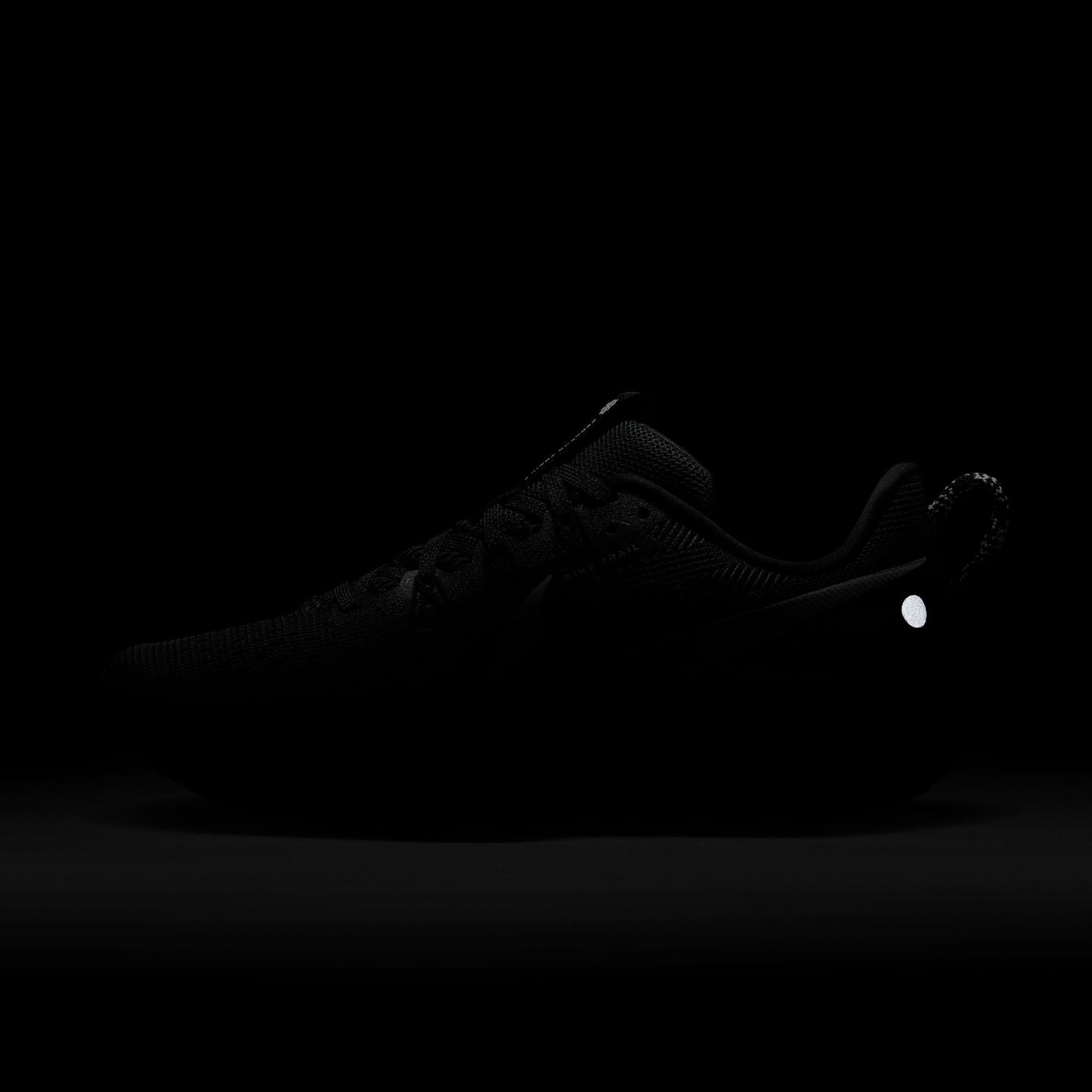 Nike Pegasus Trail 5 | Black / Anthracite / Wolf Grey | Womens