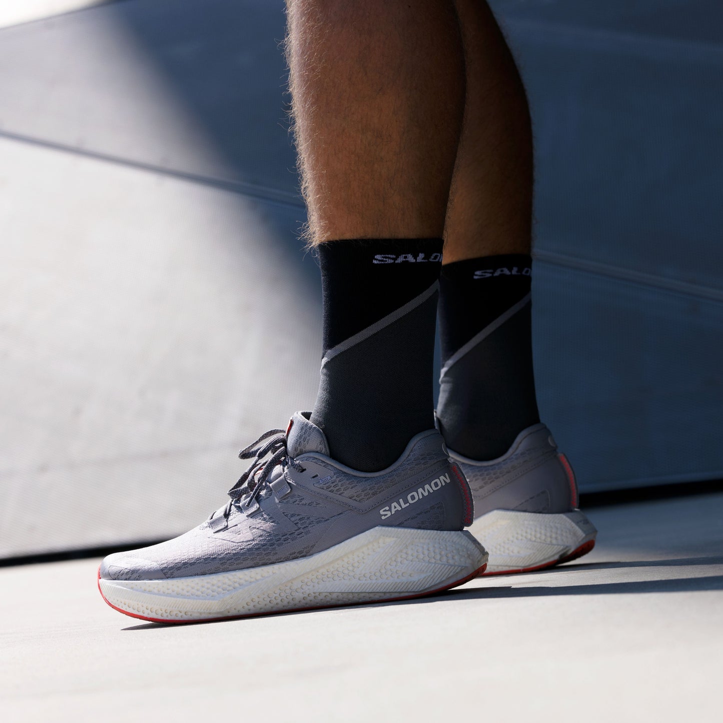 Salomon Pulse Crew Sock | Black / Monument / Magnet